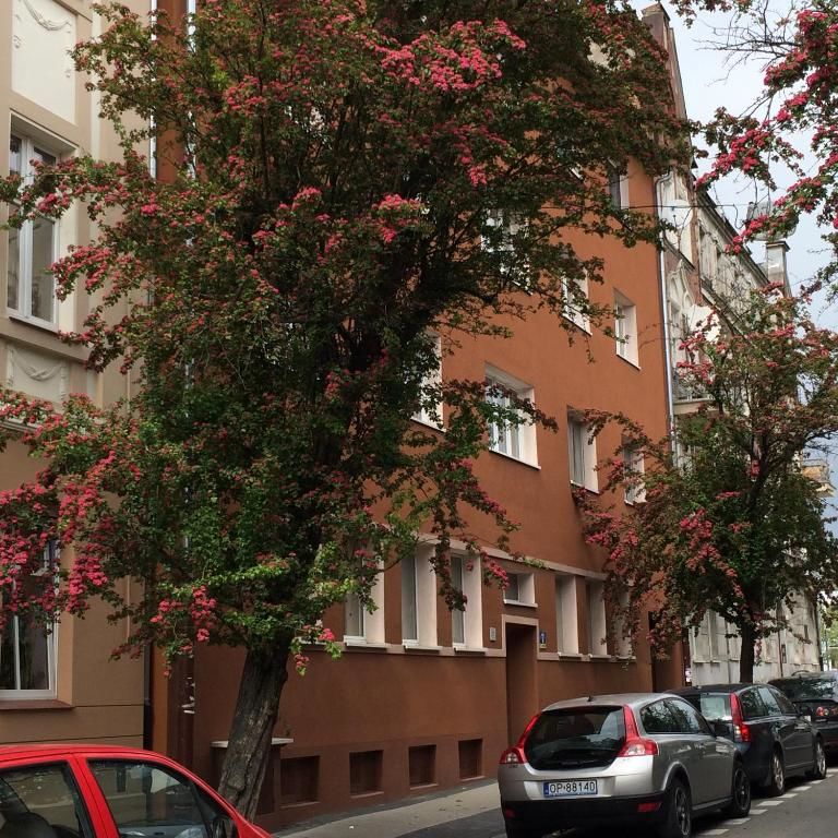 Апартаменты Apartamenty Centrum - Moonlight Ополе-36